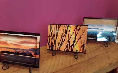 Back Room Gallery showcases local art