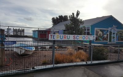 Te Puru School embarks on new Māori carving project