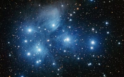 Everything You Knew – And Didn’t About Matariki