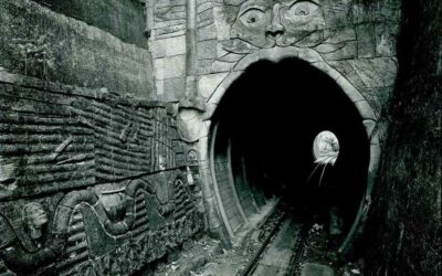 November 2025 Pānui/ Newsletter