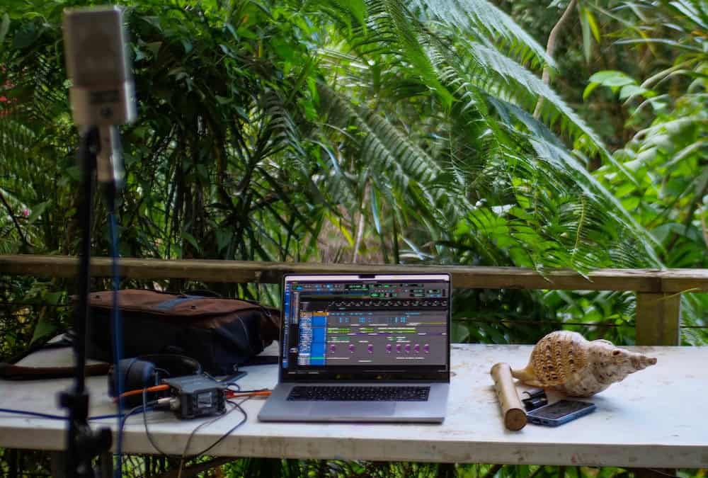 sound recording gear in jungle