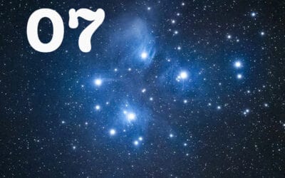 July 2026 Pānui/ Newsletter
