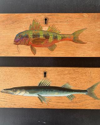 Draw Fronts Goat Fish and Barracuda